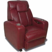 Nirvana Burbank - Leather Swing Recliner